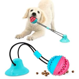 Interactive Pet Toys