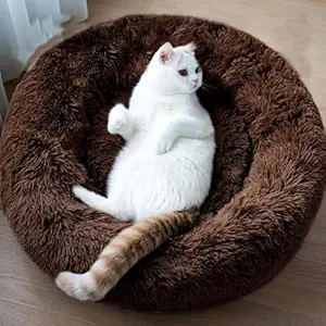 Cat bed